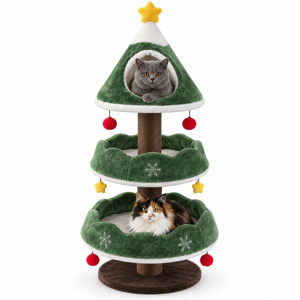jw cattree g7_front