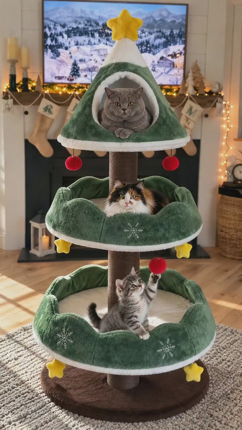 Kitten playing with the pom-pom ornament
